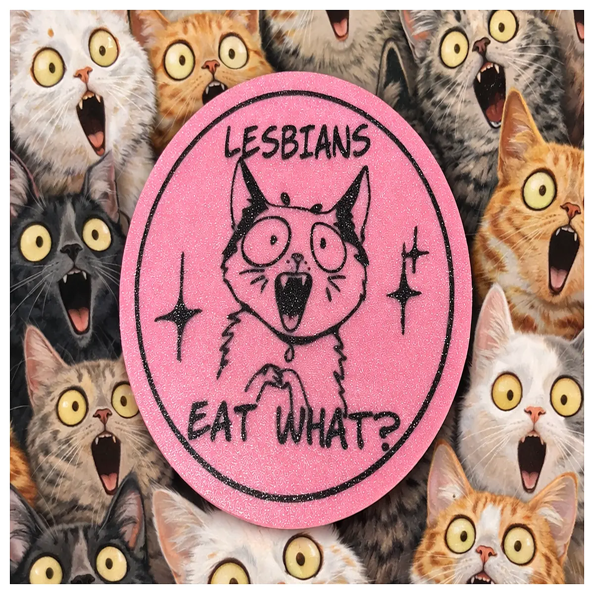 funny cat pride coaster set humorous feline novelty desk accessories shock humor animal mug mat