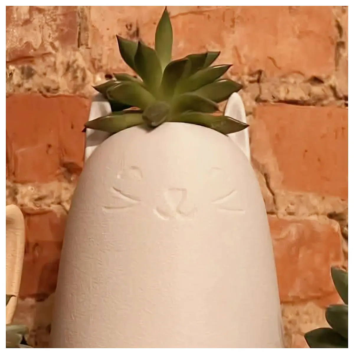 tall succulent planter cute cat design decorative ceramic pot for home desk garden