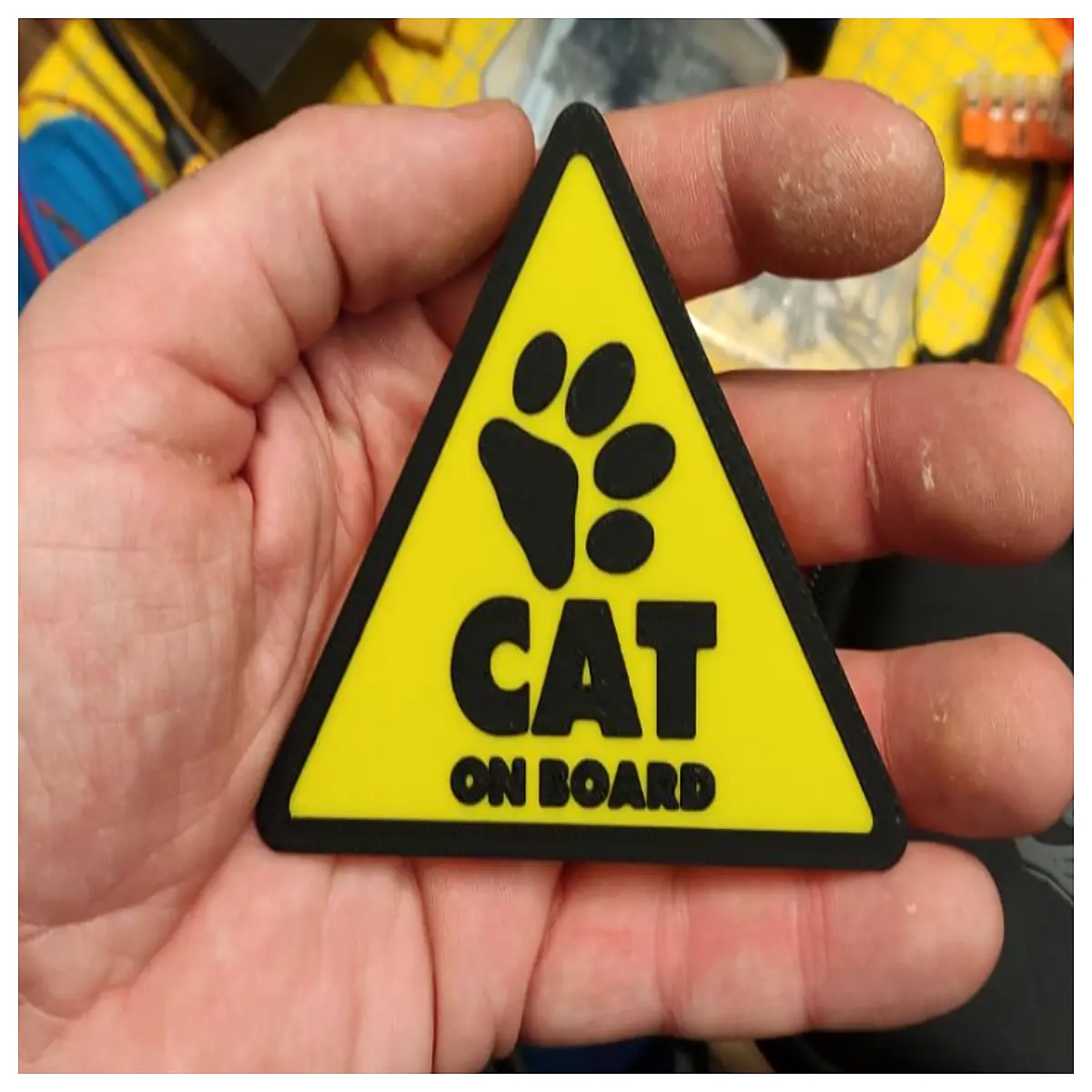 cat sitting on board wooden plank perch shelf