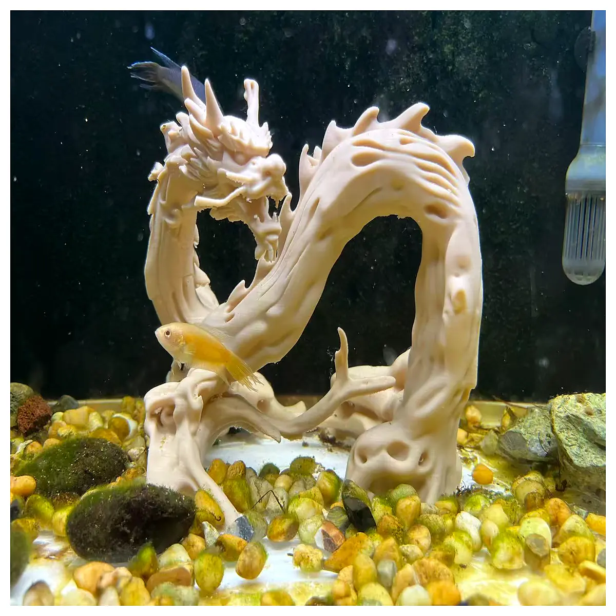natural driftwood for aquarium aquascape hardscape decoration fish tank hiding spot