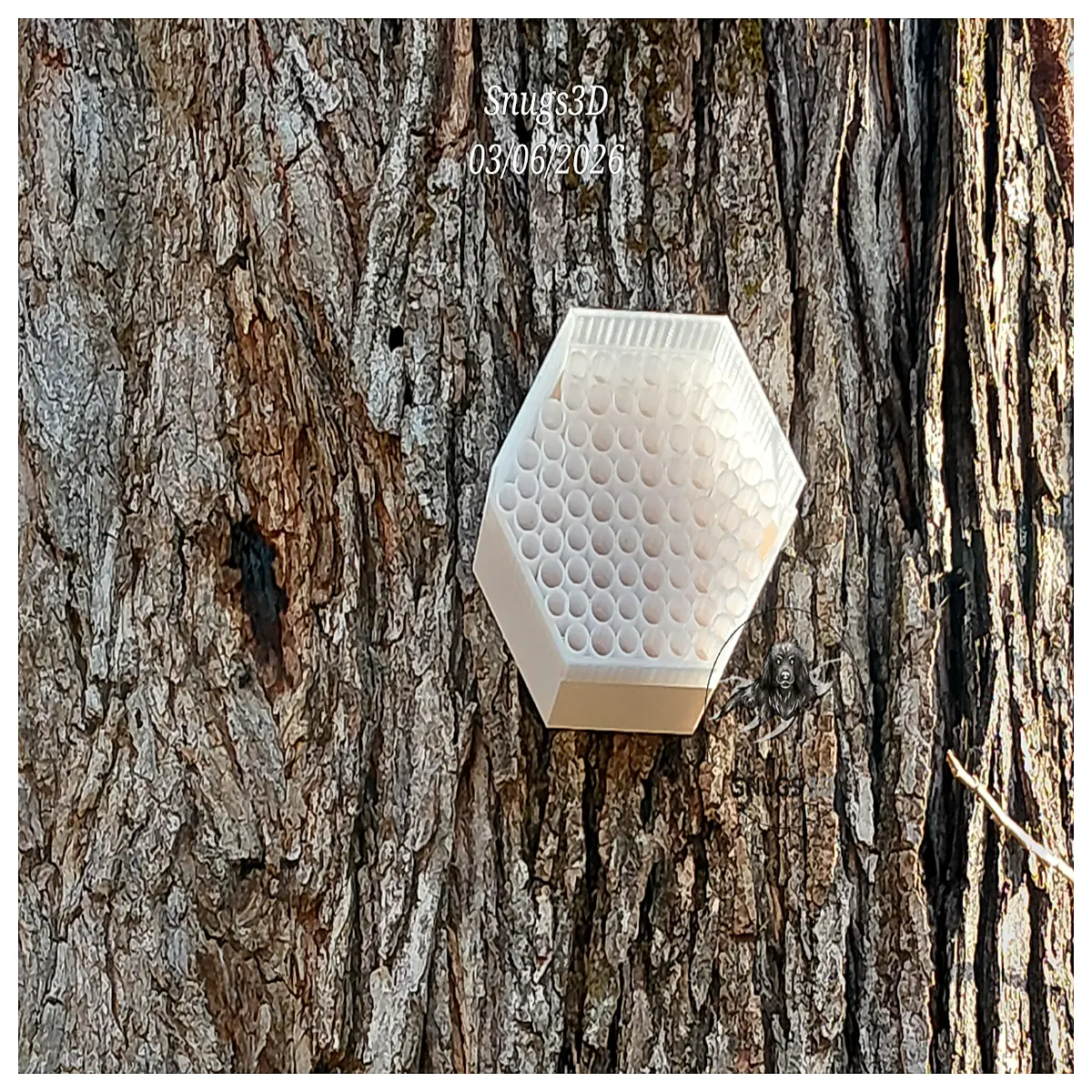 bee themed boutique hotel stay experience rustic insect architecture design accommodation
