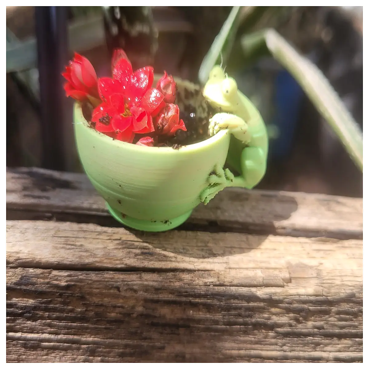 cute planter pot for succulents cactus indoor desk decoration resin garden ornament