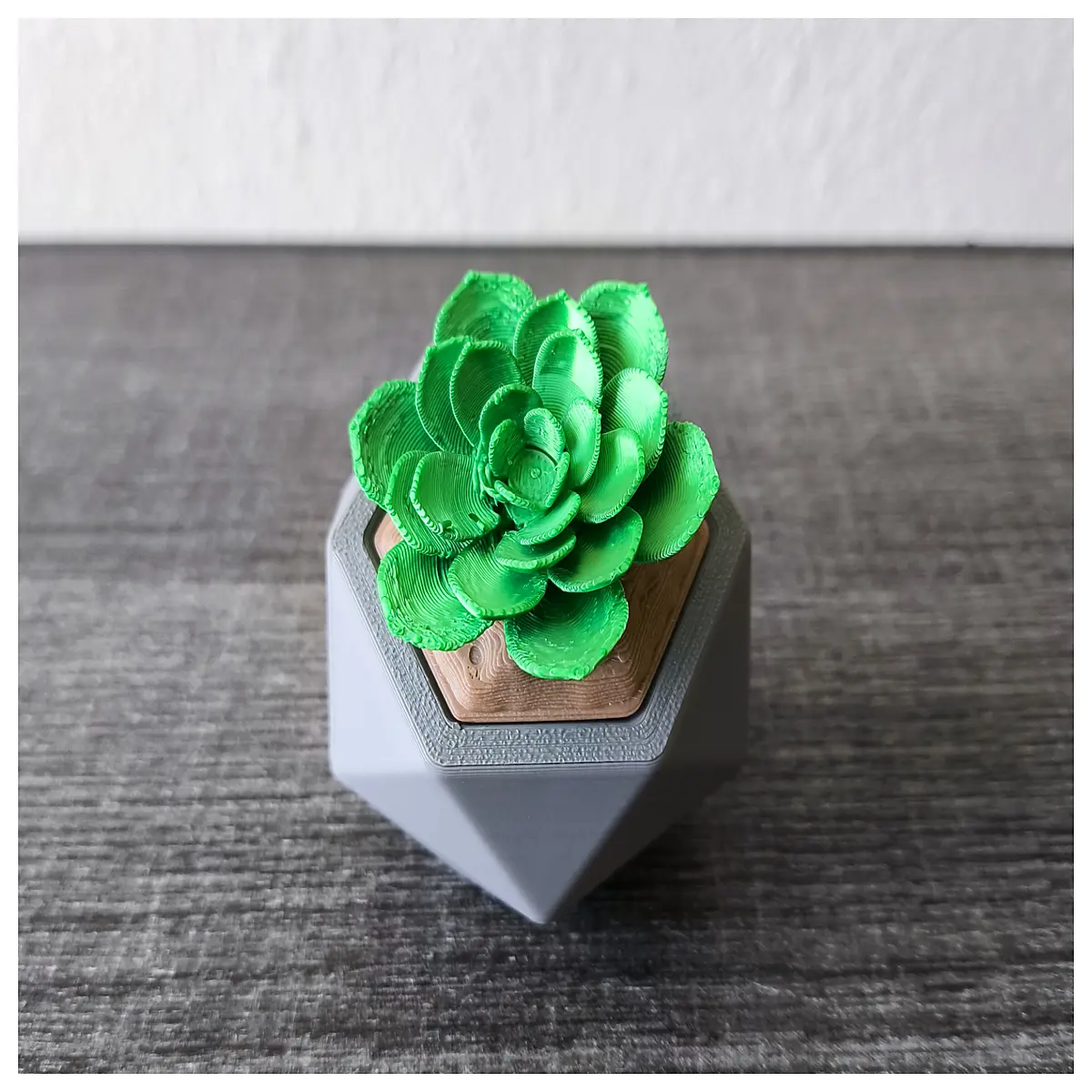 succulent planter with hidden storage compartment decorative cactus pot organizer for desk small plant holder with shelf