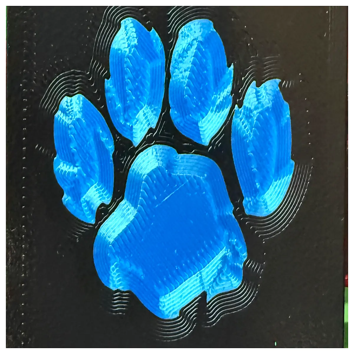 wildcat id holder card case protective sleeve for badge passport wallet travel organizer