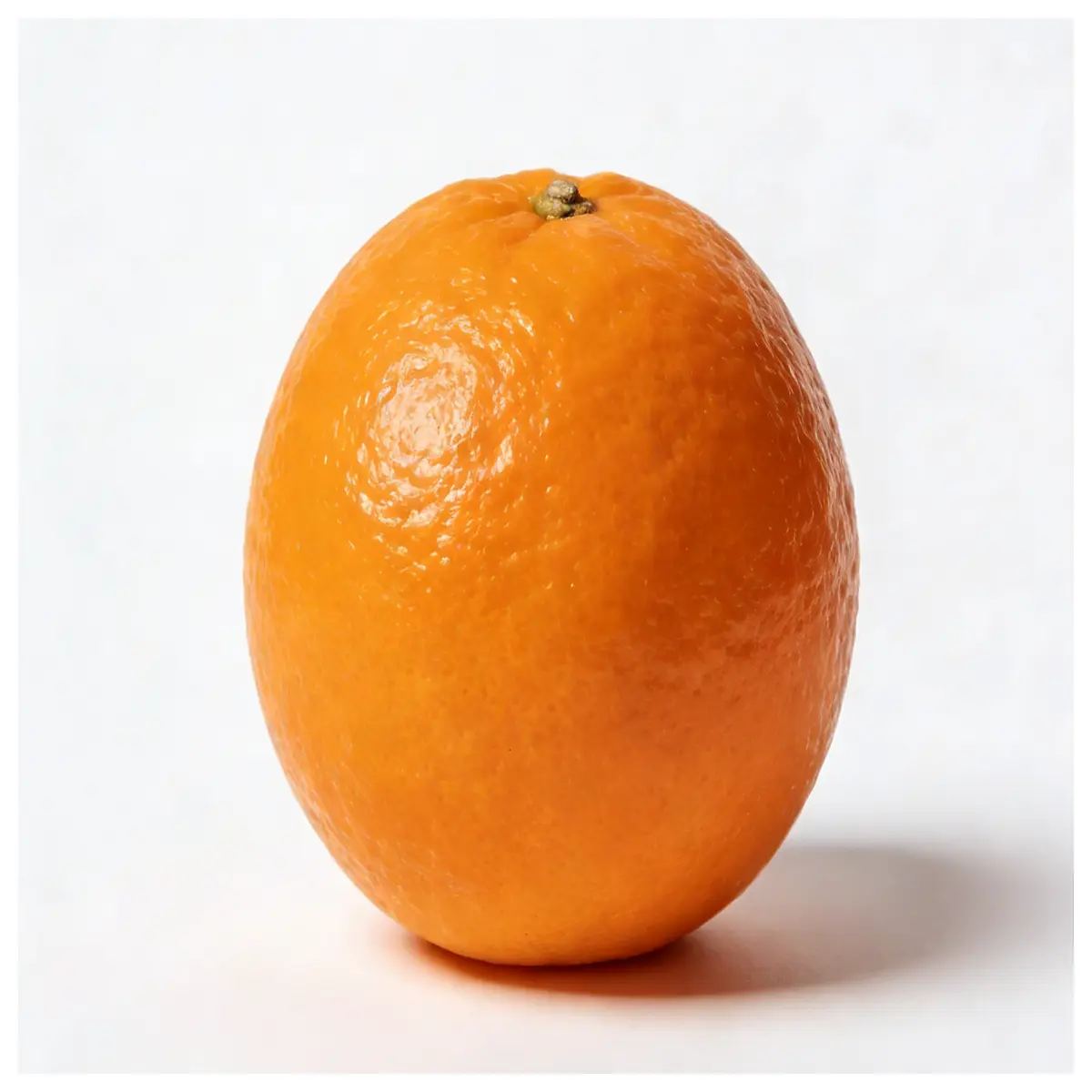 realistic orange fruit for kids learning colors preschool educational props toy
