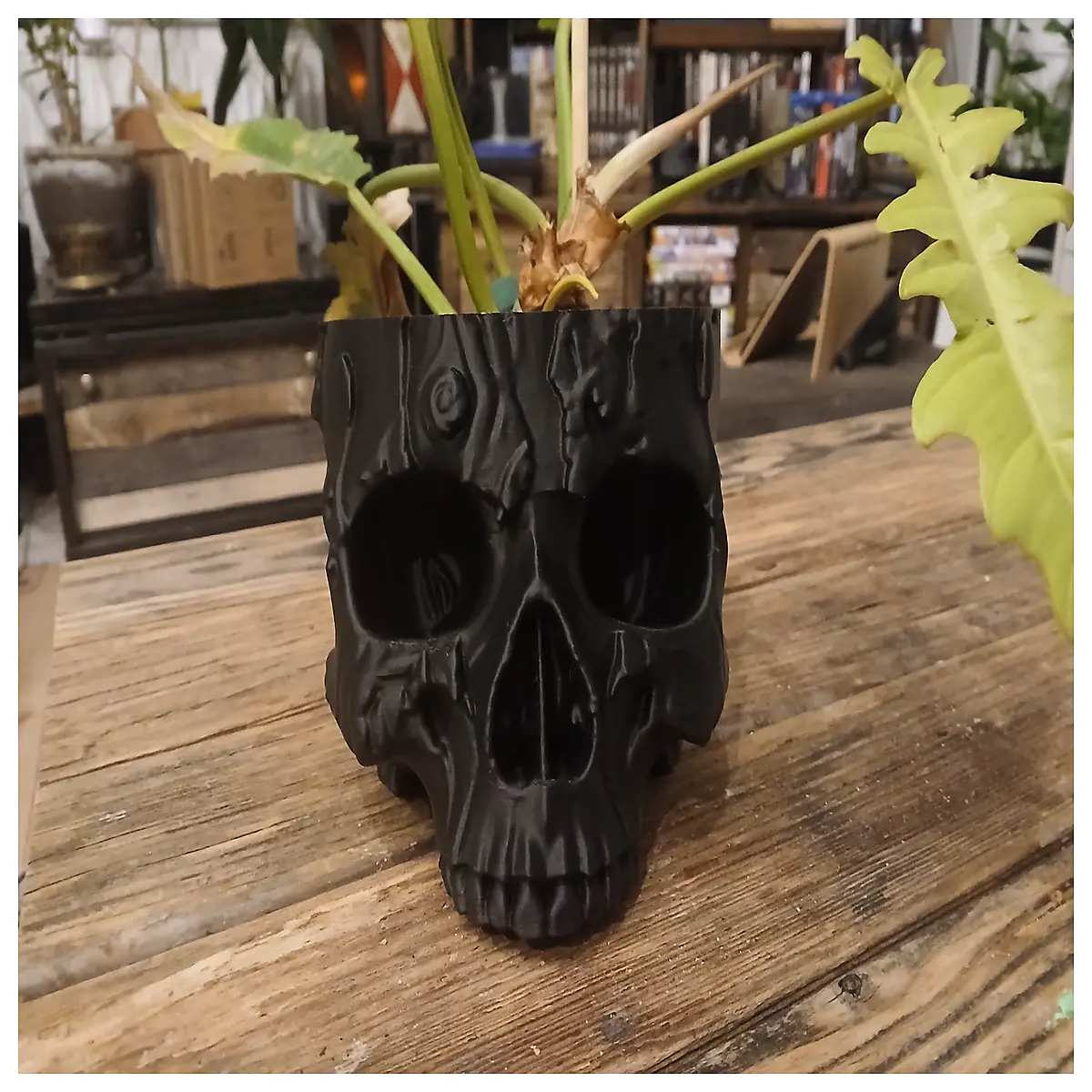 halloween skull bowl decoration spooky party centerpieces plastic resin trick or treat candy container