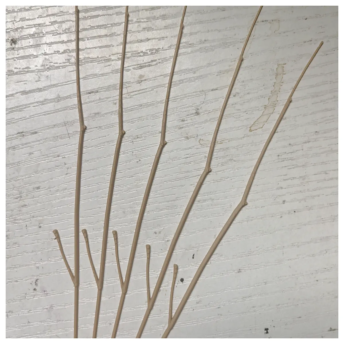 natural thin twigs for bird nesting material diy pigeon supplies