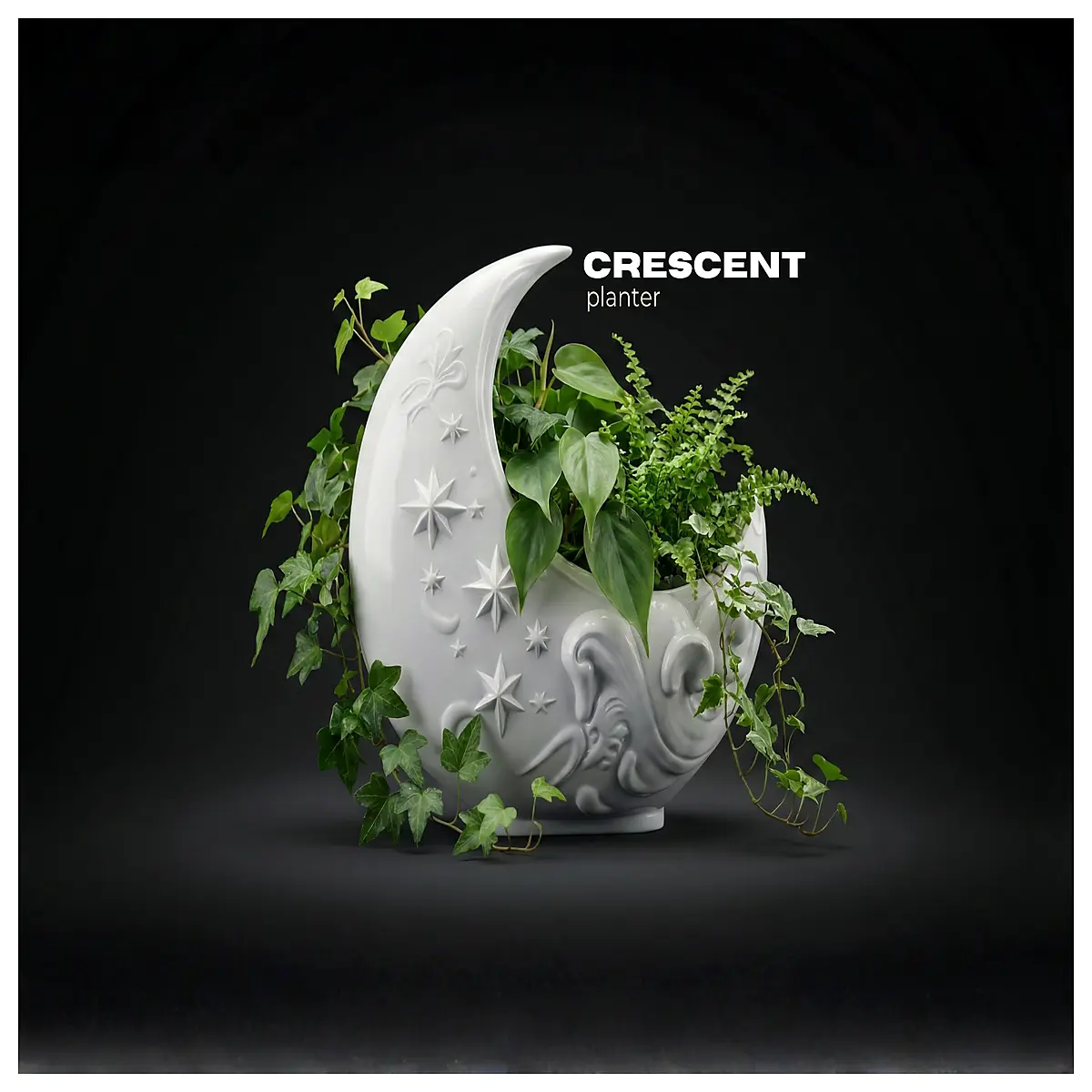 crescent moon planter pot for succulents and cacti modern ceramic curved flower container geometric garden decor