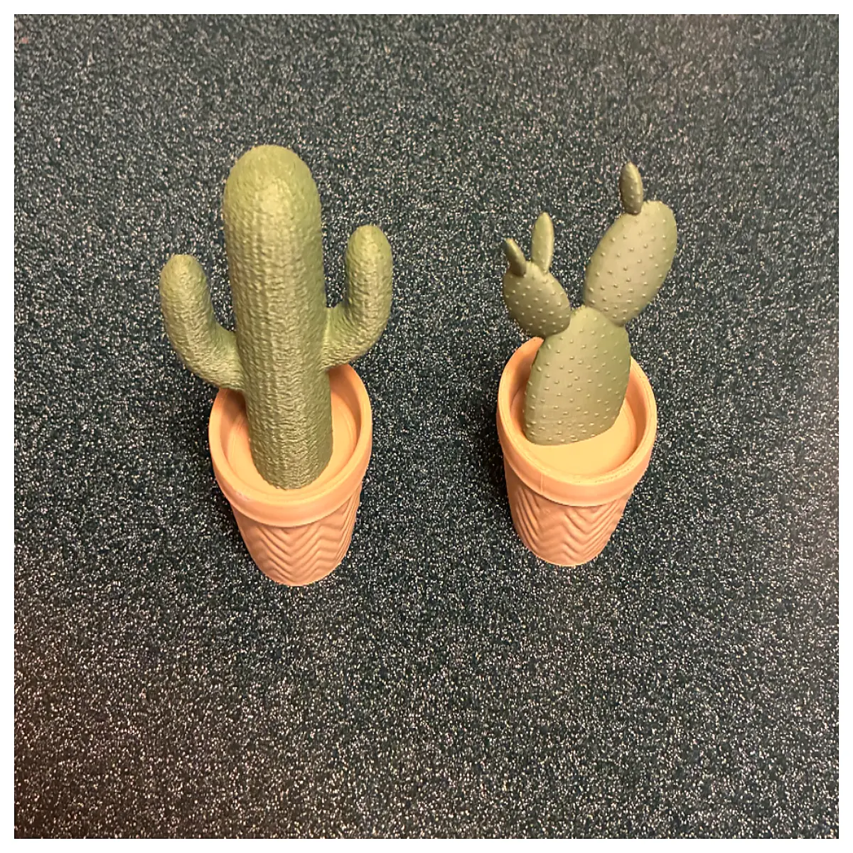 realistic cactus for office desk decor succulent plant without water modern minimalist home decoration