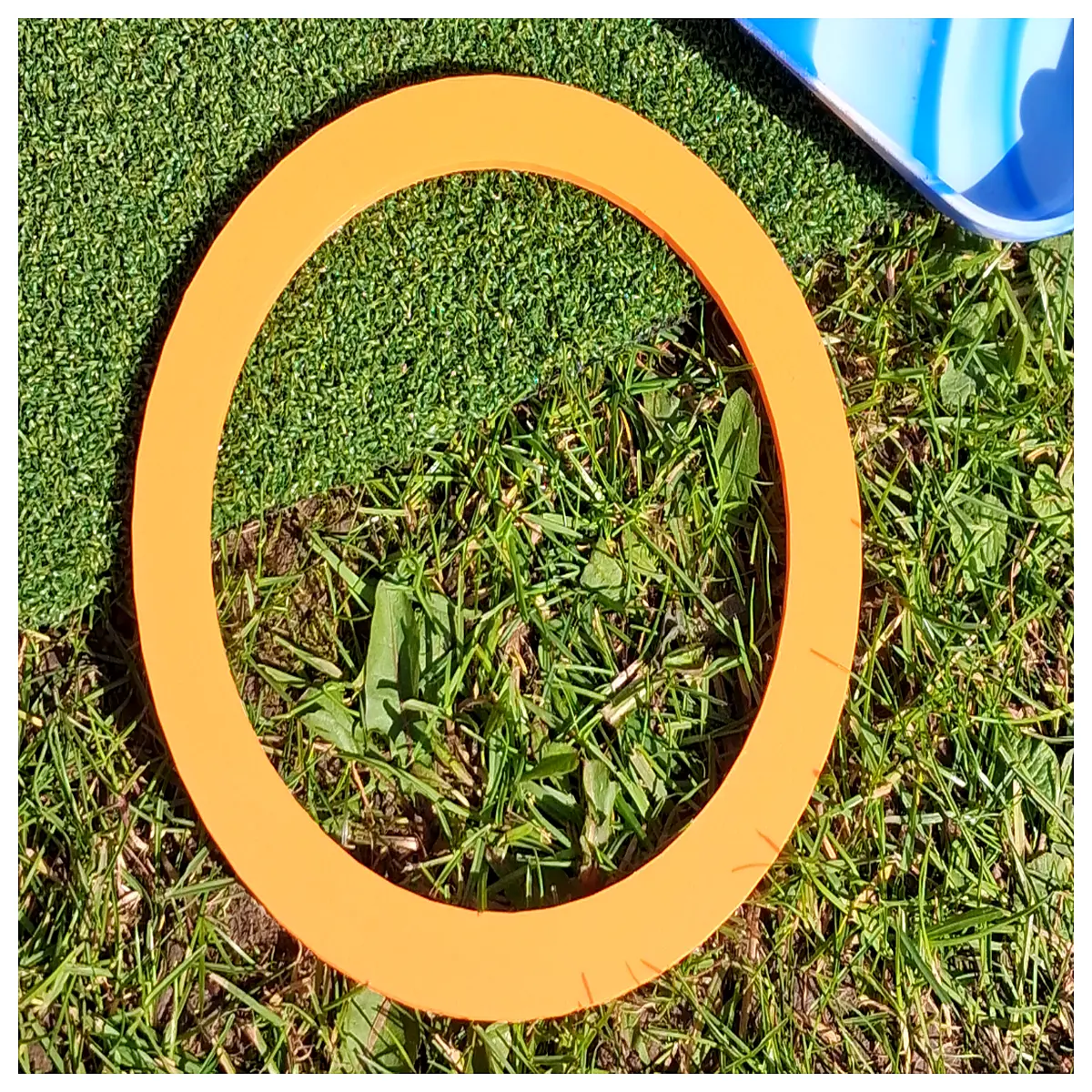 hole center flying disc ultimate training aid pet dog fetch toy plastic outdoor game