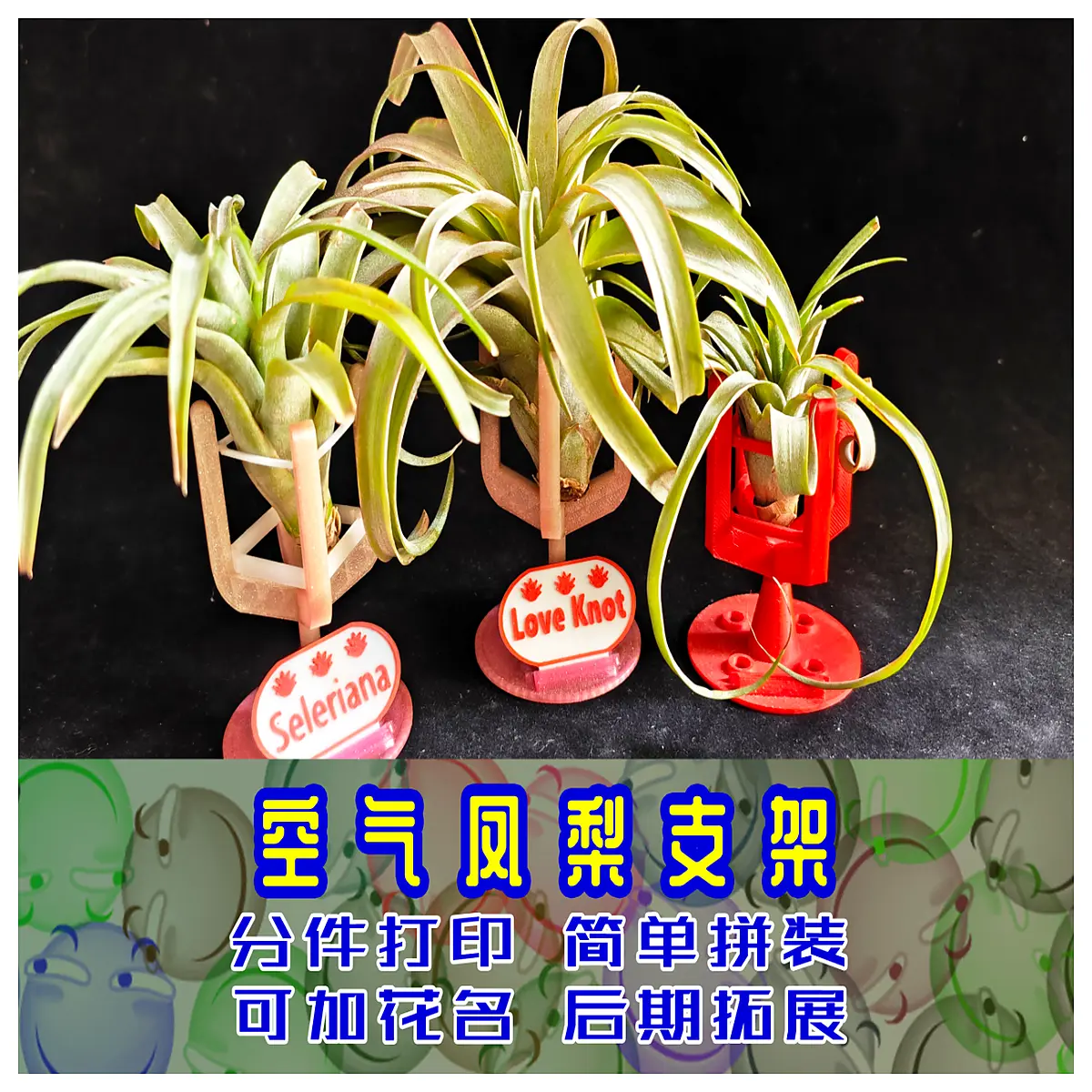 air plant holder no soil moss sphere geometric wire frame terrarium with name tag