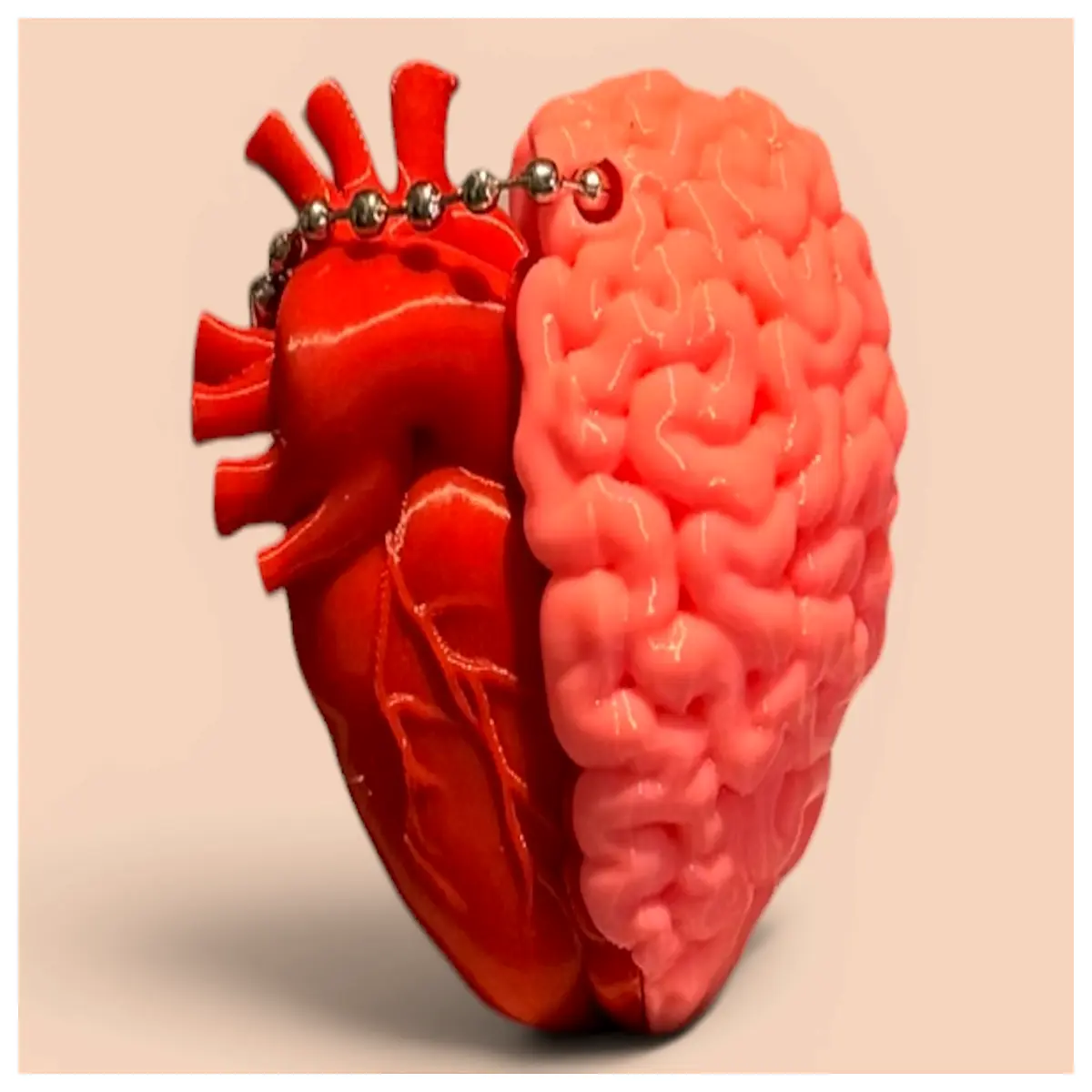 cute shaped brain keychain for students psychology major gifts neuroanatomy teacher appreciation funny science nerdy accessory bag charm