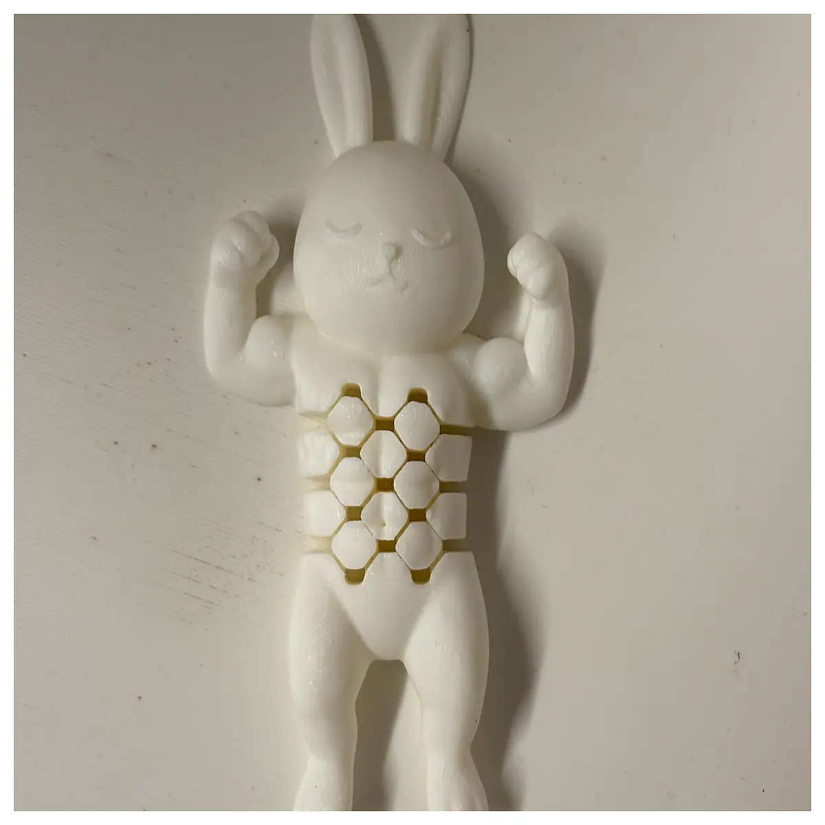 articulated muscle rabbit plush toy realistic anatomy stuffed animal for kids posable bunny doll