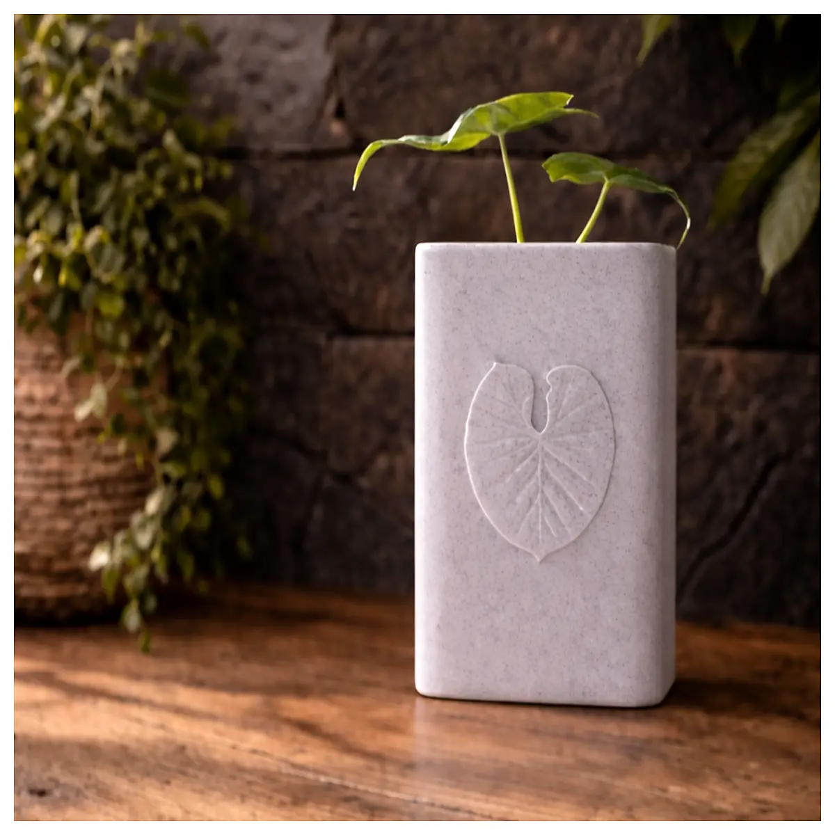 large ceramic planter for elephant ear plants duty pot with drainage hole indoor outdoor decorative vase for alocasia