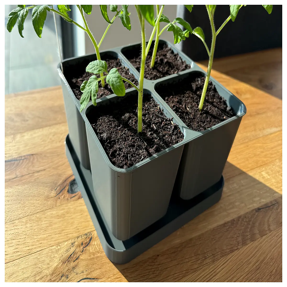 indoor seed starter tray with humidity dome 2x2 propagation mat for home gardening sprouting supplies