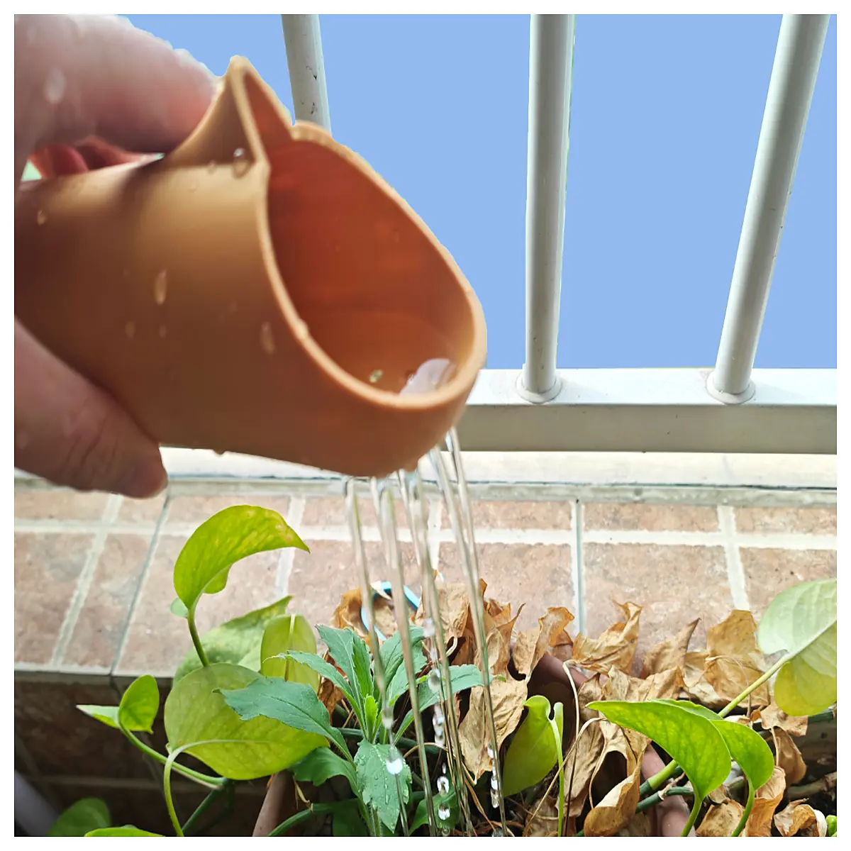 watering can spout pourer for indoor plants long neck watering bottle with precision tip for succulents and houseplants