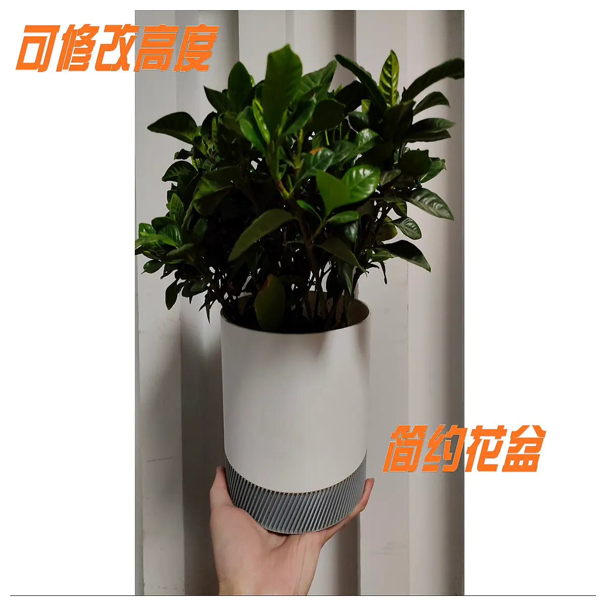 minimalist ceramic planter pot for succulents cactus indoor home decor modern simple style