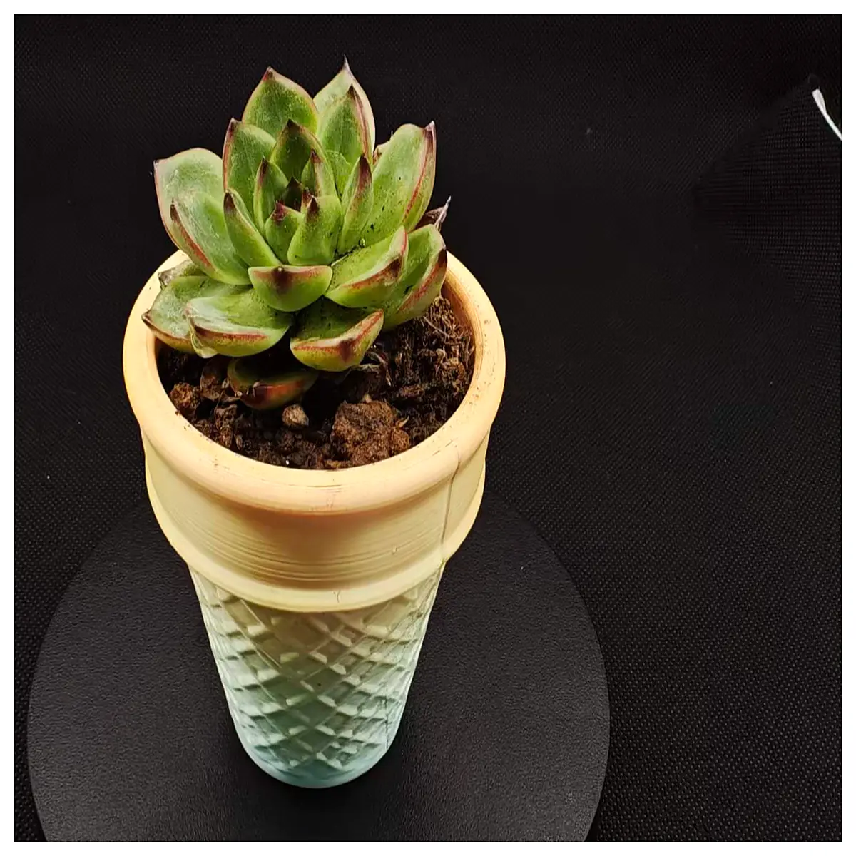 cylindrical planter pots for ice cream shaped succulents modern ceramic flower pots with drainage cute round planters for home garden decor