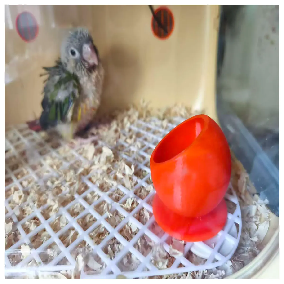 bird cage floor liner non absorbent for parrots cockatiels lovebirds reptile terrarium substrate bedding pad