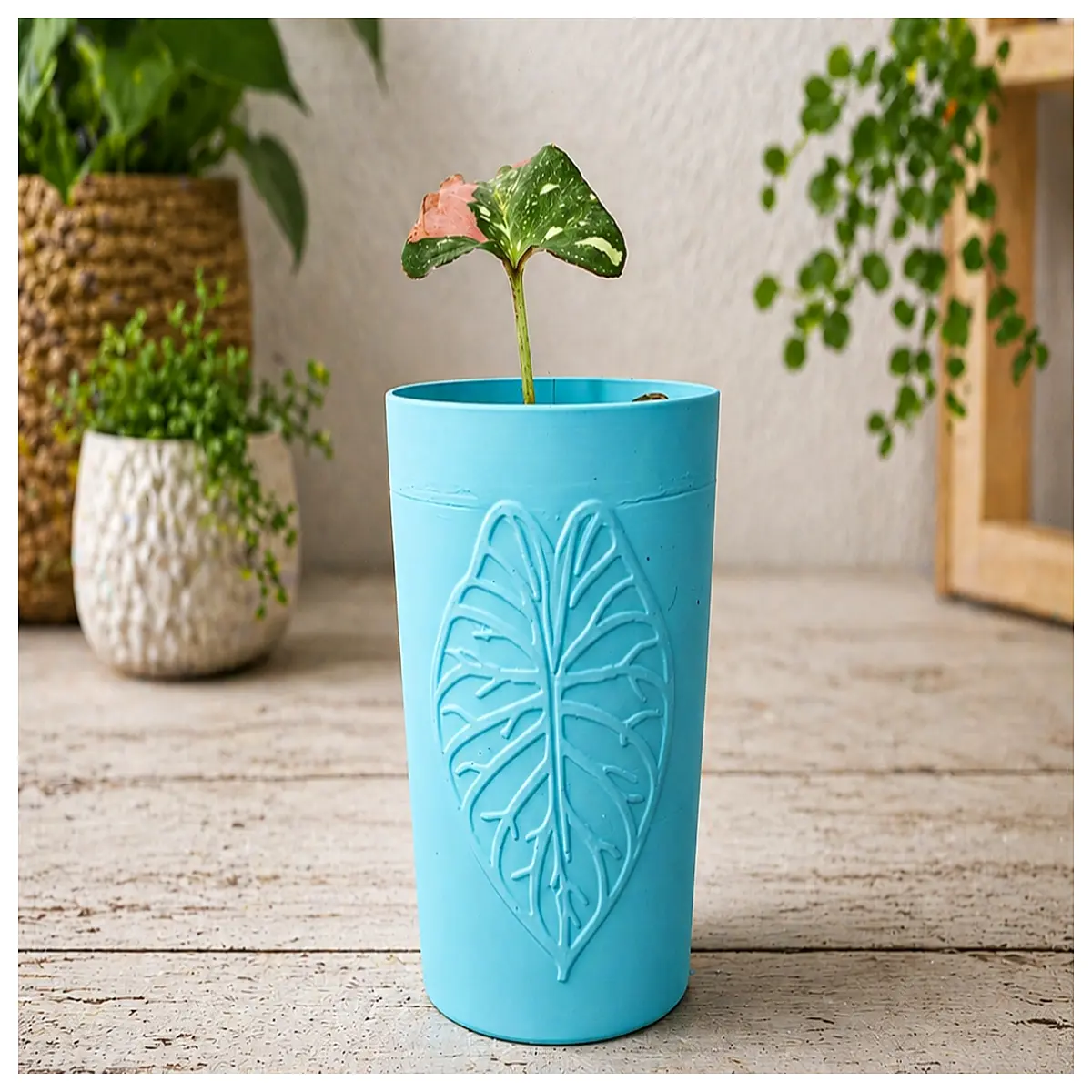 aerogarden self watering planter pot for monsteras philodendron anthurium indoor houseplant large ceramic vase with drainage