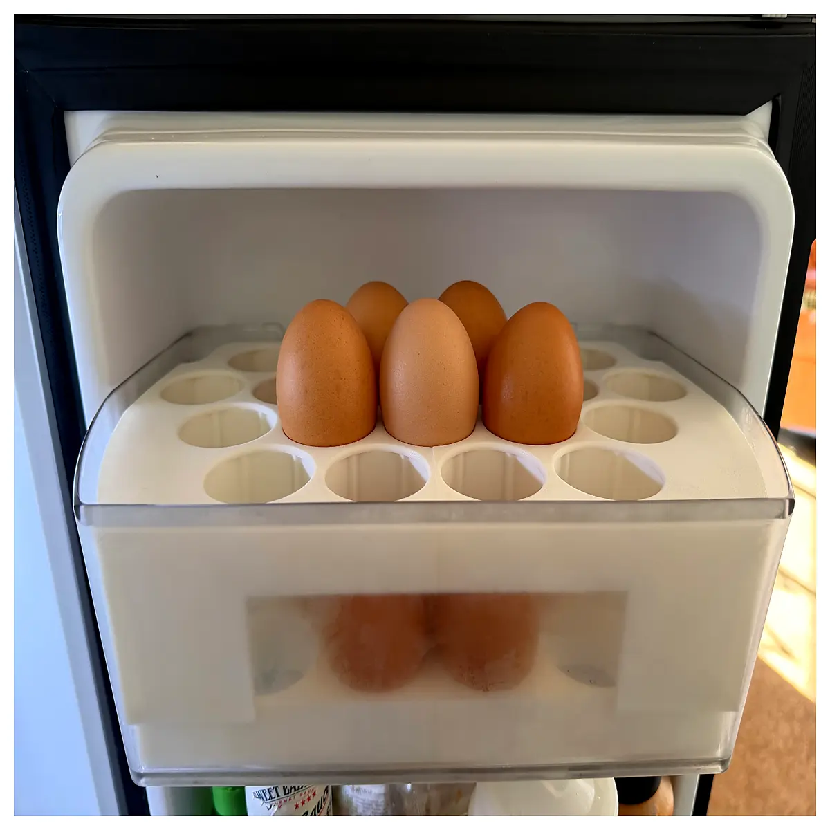 refrigerator egg holder insert organizer shelf for fridge door storage