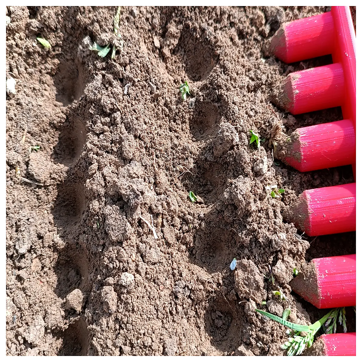 6 hole seed planter tool for precise spacing garden hole maker for vegetables and flowers