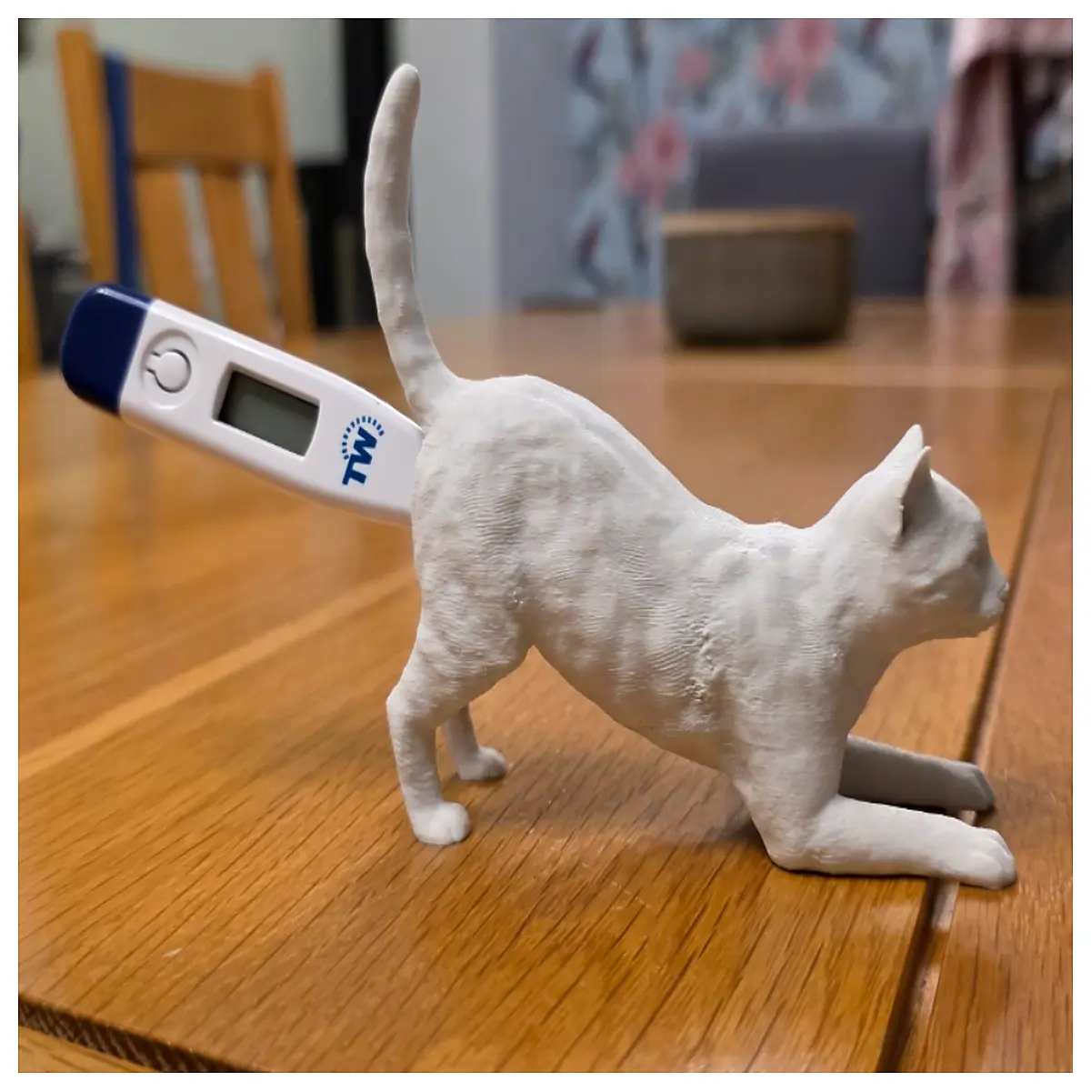 funny cat thermometer holder desk cute animal novelty gift
