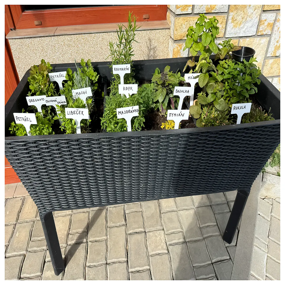 garden plant markers stakes for herbs vegetables flowers waterproof plastic metal outdoor labeling system