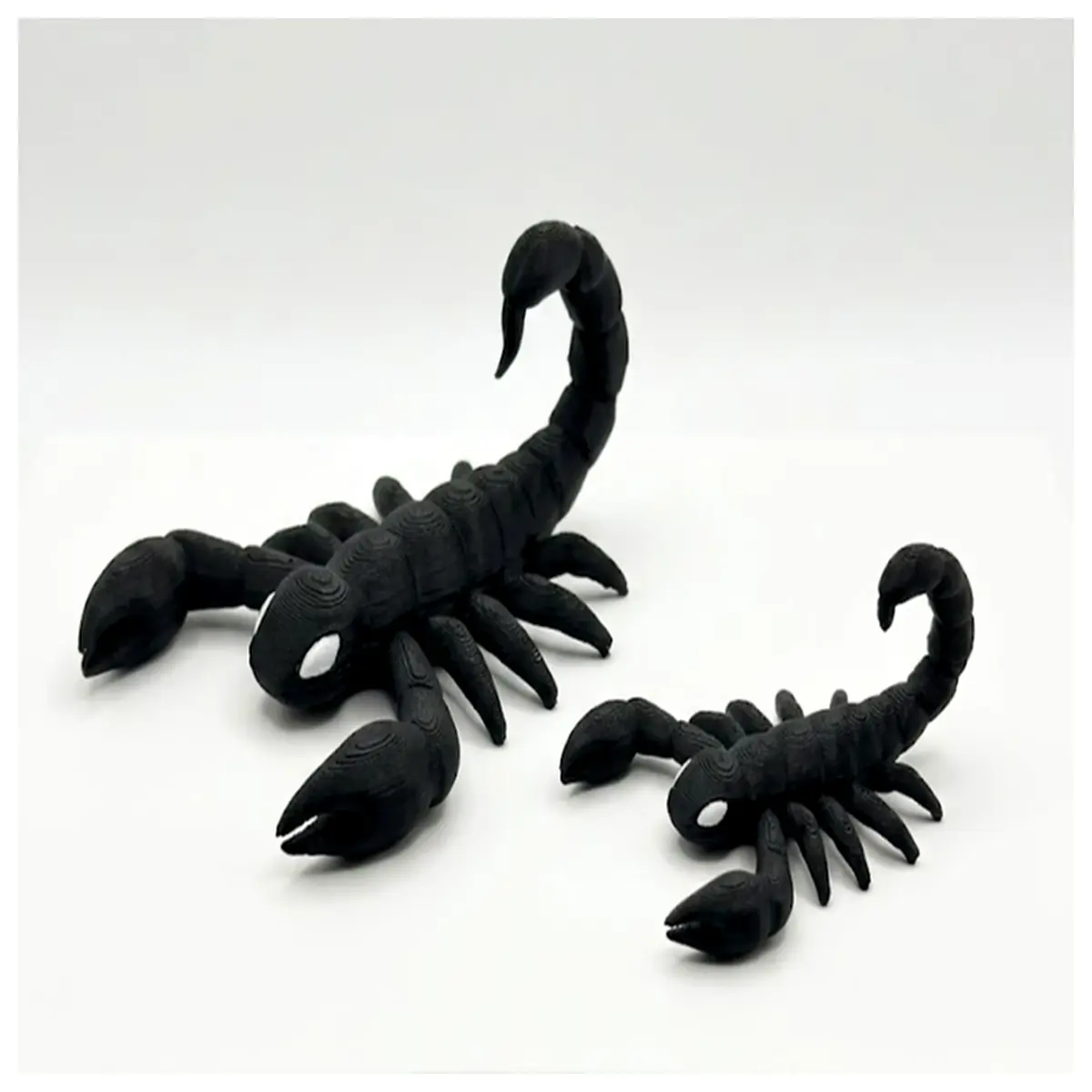 realistic for educational biology prop realistic arachnid for classroom teaching and museum exhibit