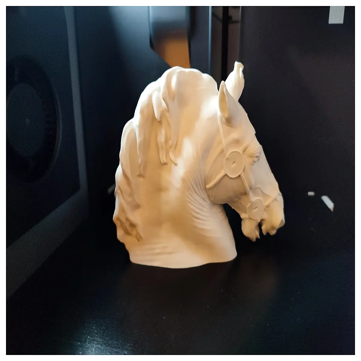 printed horse head sculpture anatomical horse bust equestrian decor detailed animal art resin horse head museum home office statue