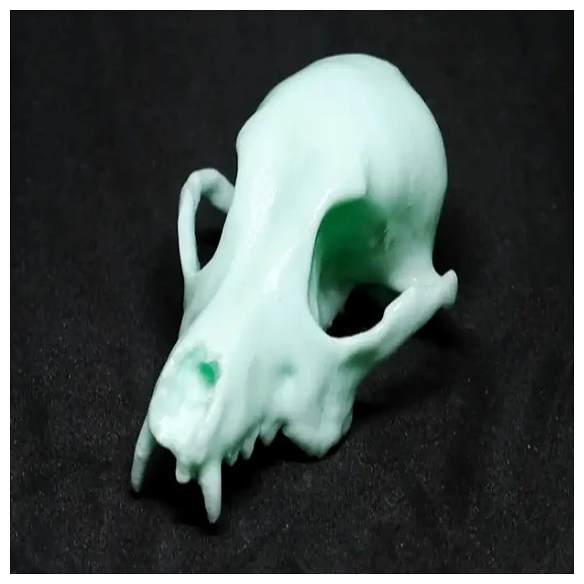 halloween skull decorations spooky party supplies haunted house props realistic plastic skeleton decor