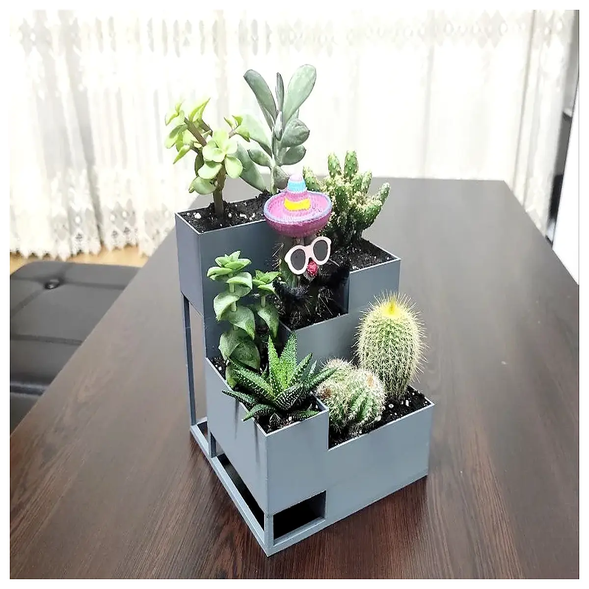 indoor desk plant organizer small garden low maintenance succulent tray office decor greenery