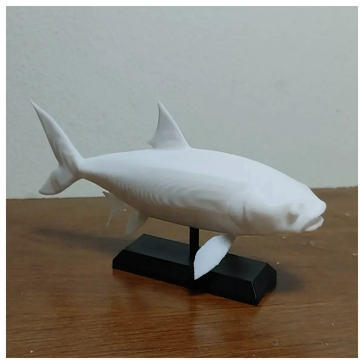realistic skeleton fish educational science prop aquarium decoration plastic anatomy study tool
