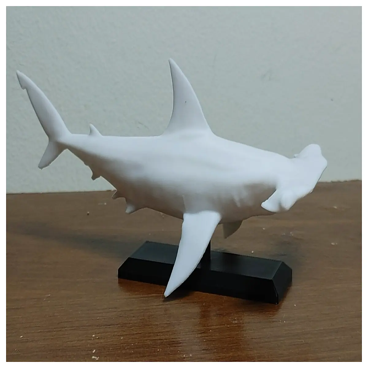 realistic shark plastic marine biology toy for aquarium educational science gift