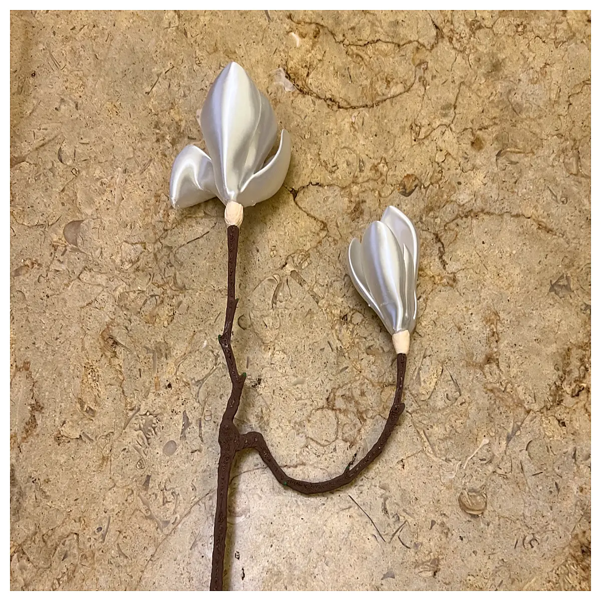 dried magnolia flower stems for tea herbal wellness infusion natural botanical ingredients organic magnolia branch tea calming floral decoction