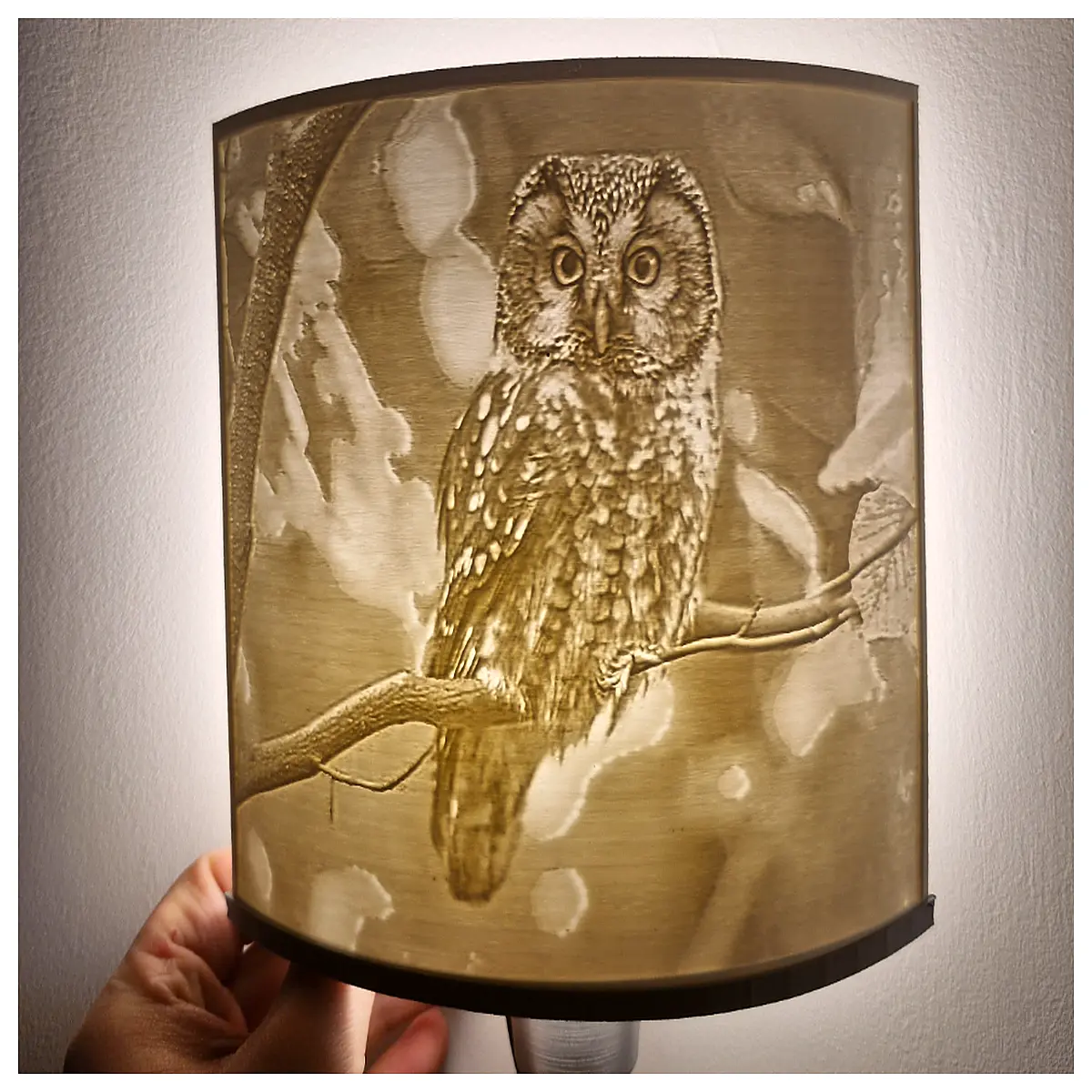 wall mounted owl night for nursery bedroom kids room decor cute animal lighting