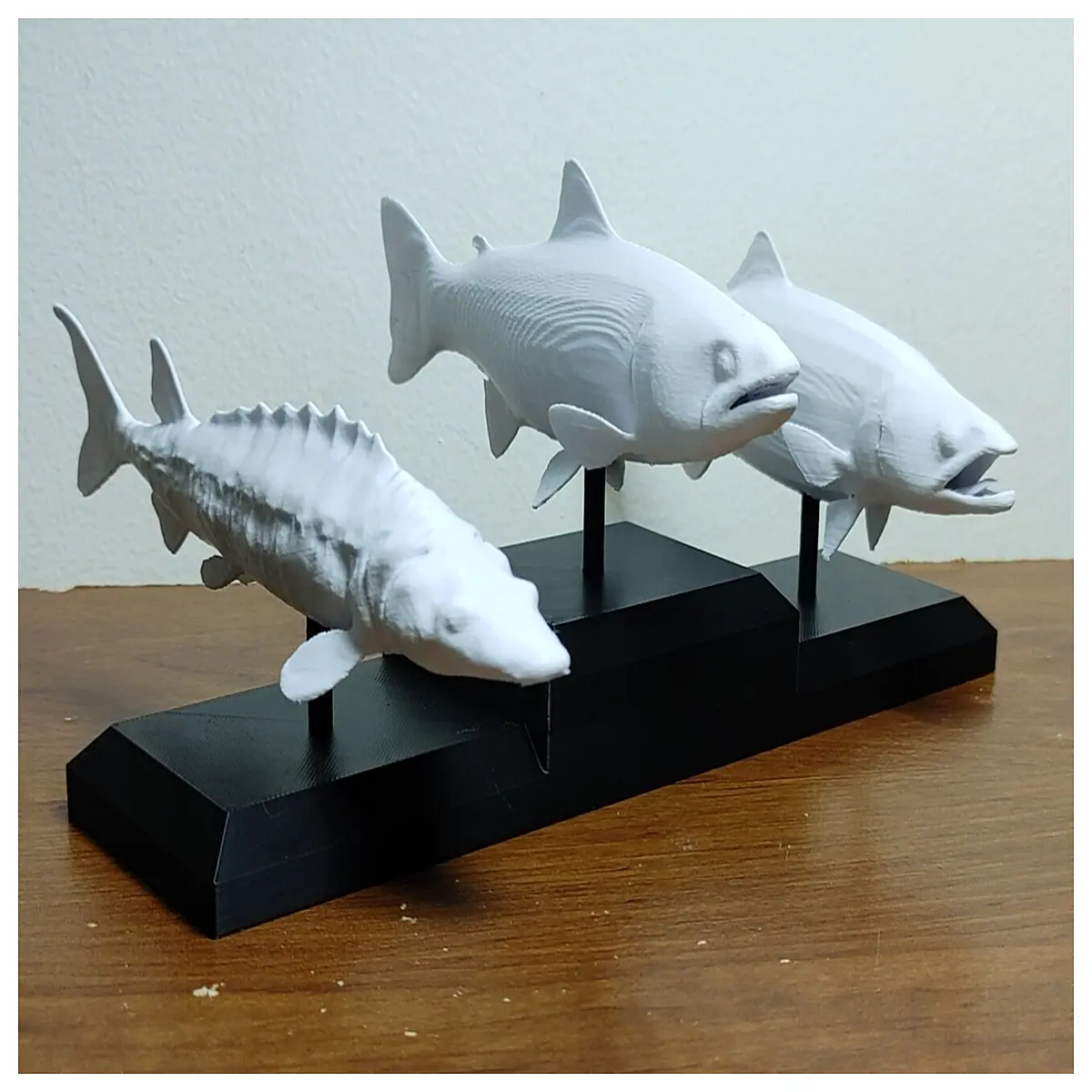 multi fish aquarium decor shelf for tropical fish tank accessories