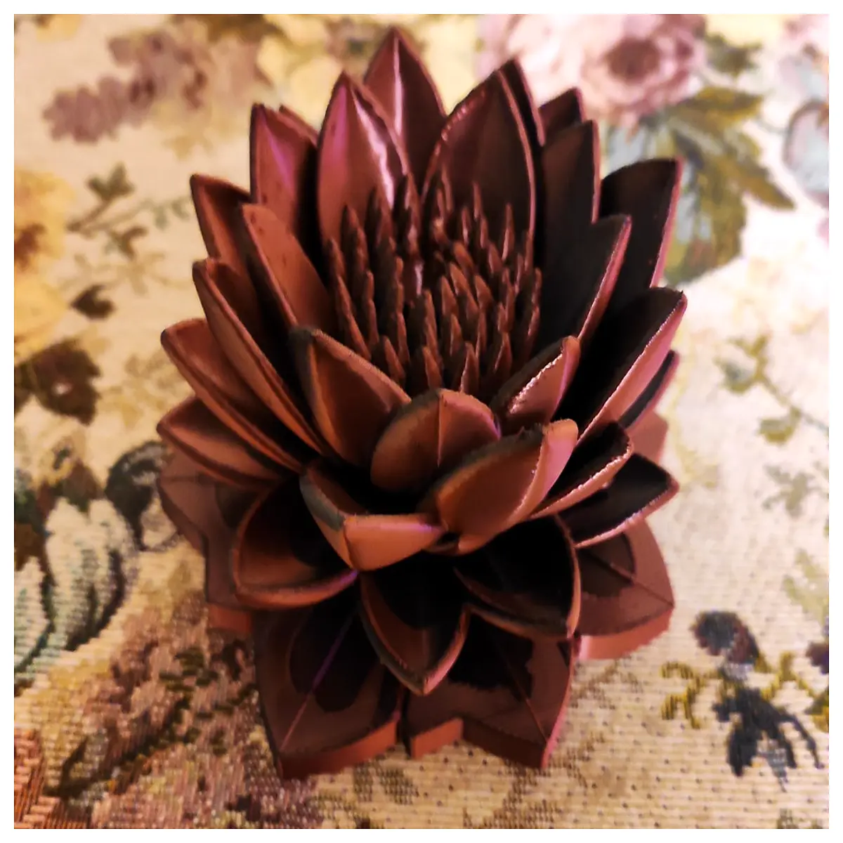 water lily plant for pond floating aquatic flower seeds like garden decoration oxygenating water plant decorative aquatic flora