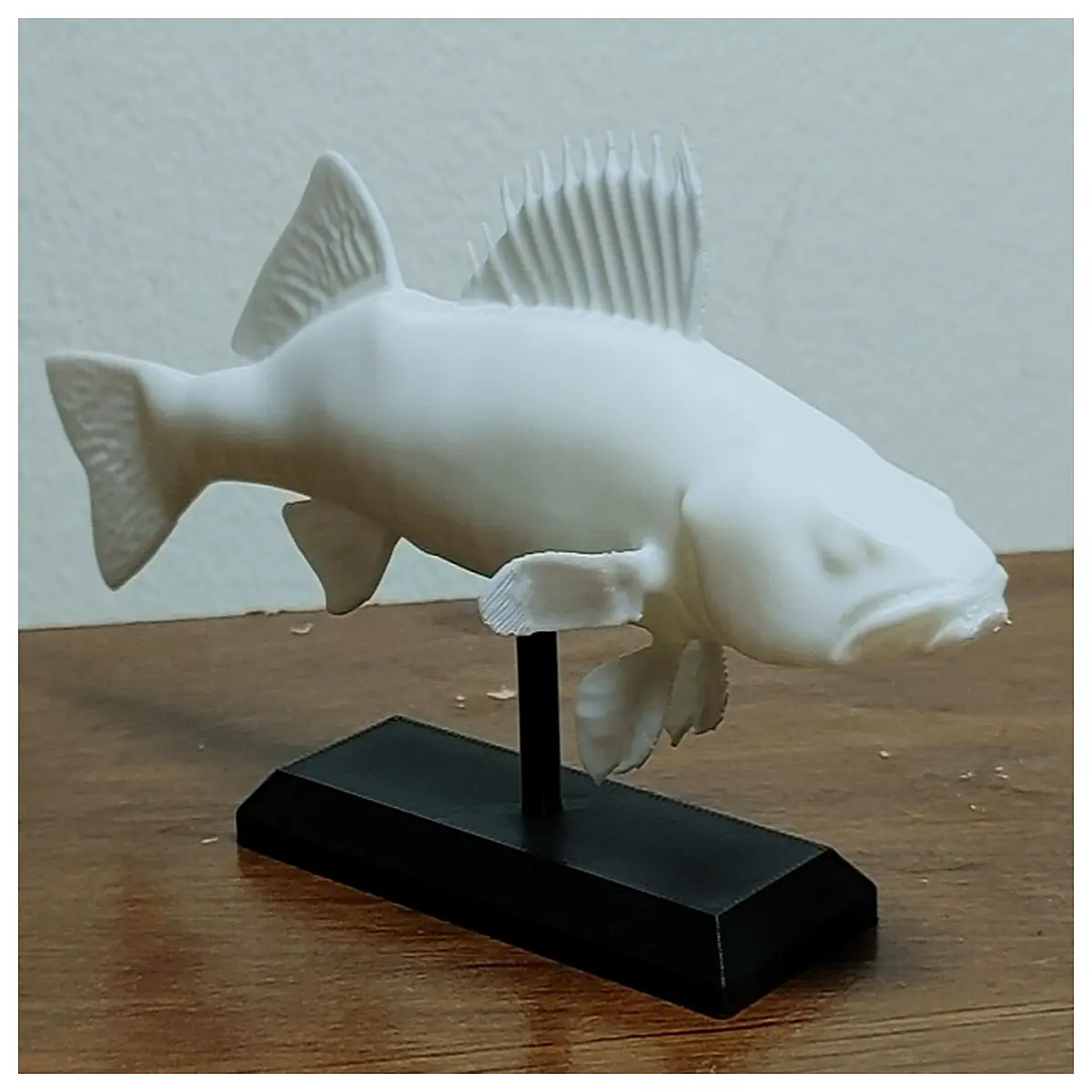 realistic sand goby fish for aquarium decoration freshwater fish educational biology prop aquarium hobbyist accessory