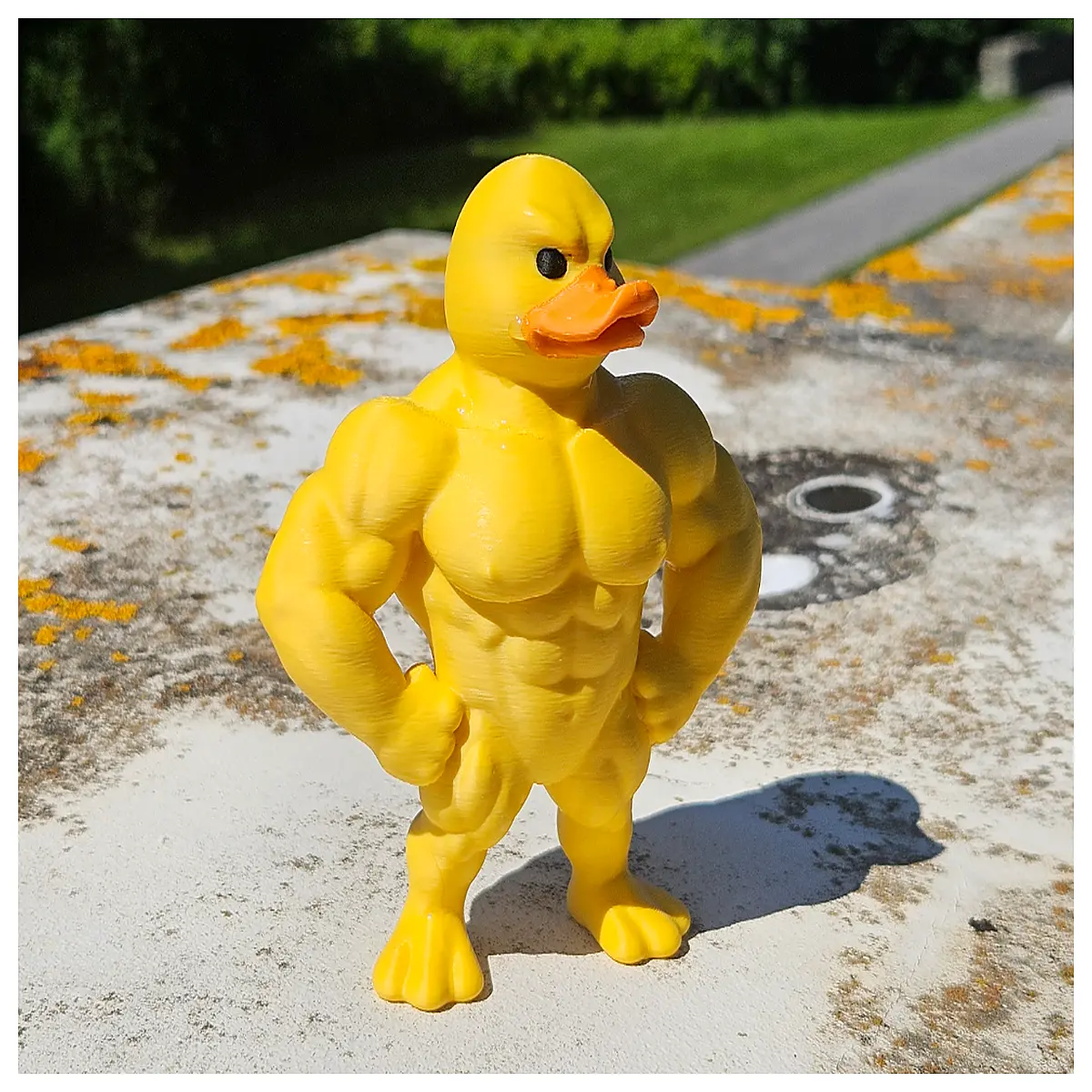 muscular rubber duck bath toy for kids funny gym animal pool floatie waterproof funny bathroom accessories