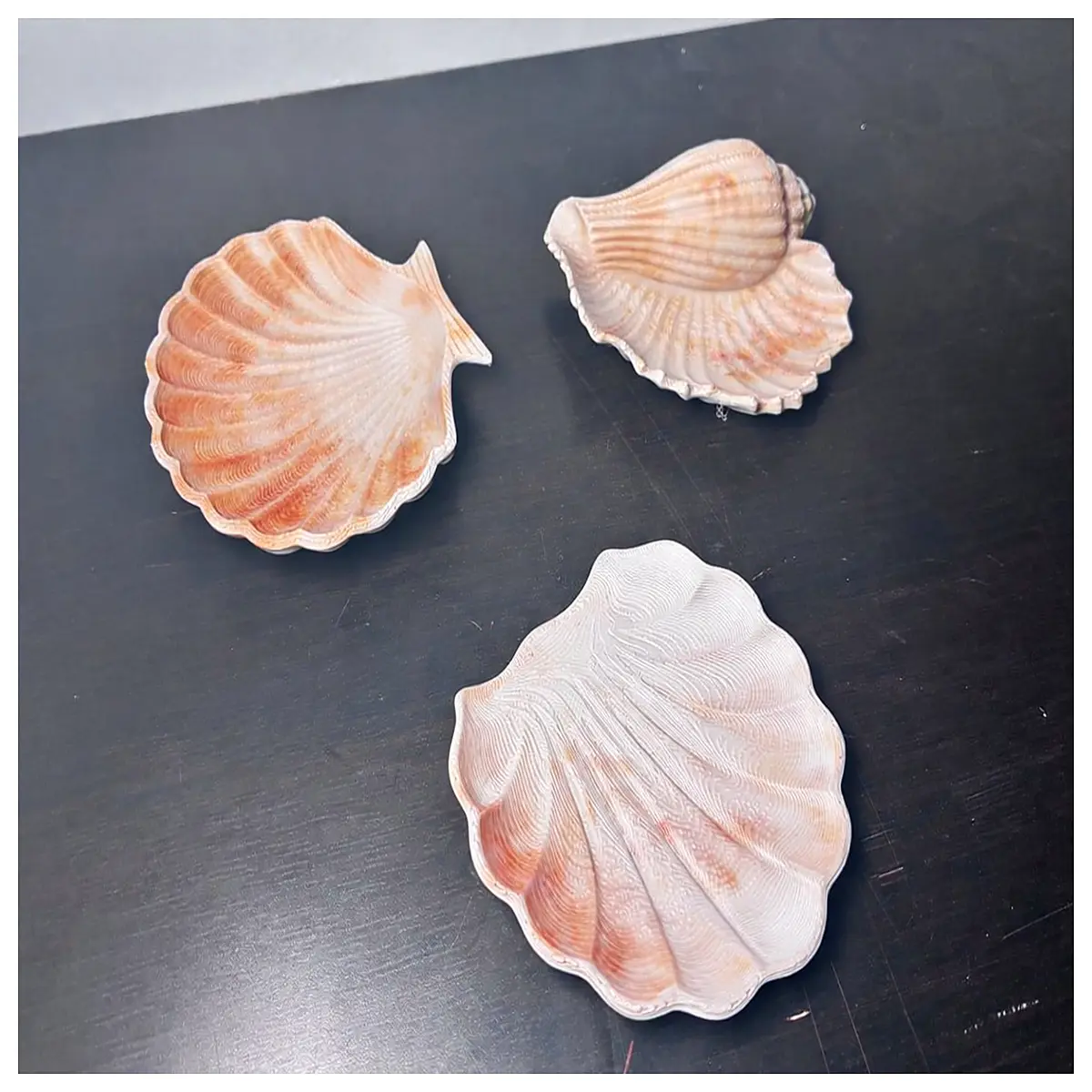 shell serving tray for party table decor beach themed dessert plate nautical centerpiece dish rustic wooden shell tray elegant home decor accessory