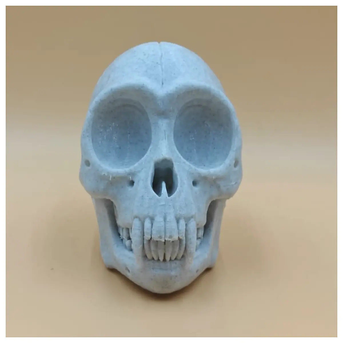northern owl skull monkey bone macabre gothic decor witchcraft altar prop occult art collection horror aesthetic
