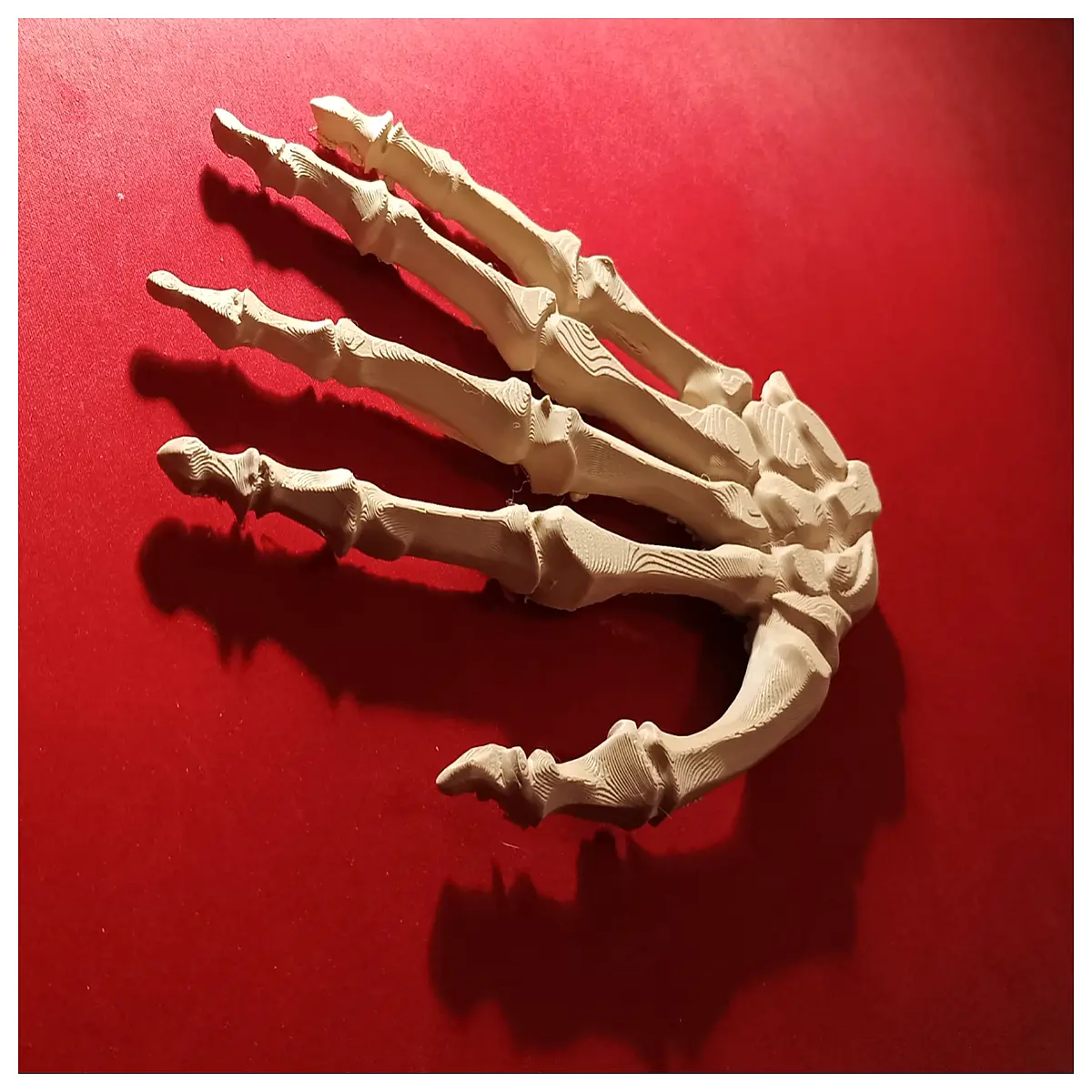 halloween skeleton hand prop spooky party decoration realistic horror movie accessory scary stage effect