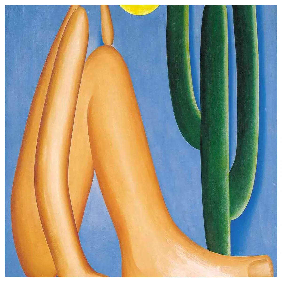 tarsila do amaral inspired art prints surreal abstract canvas posters modern decor for living room art lovers large wall hangi