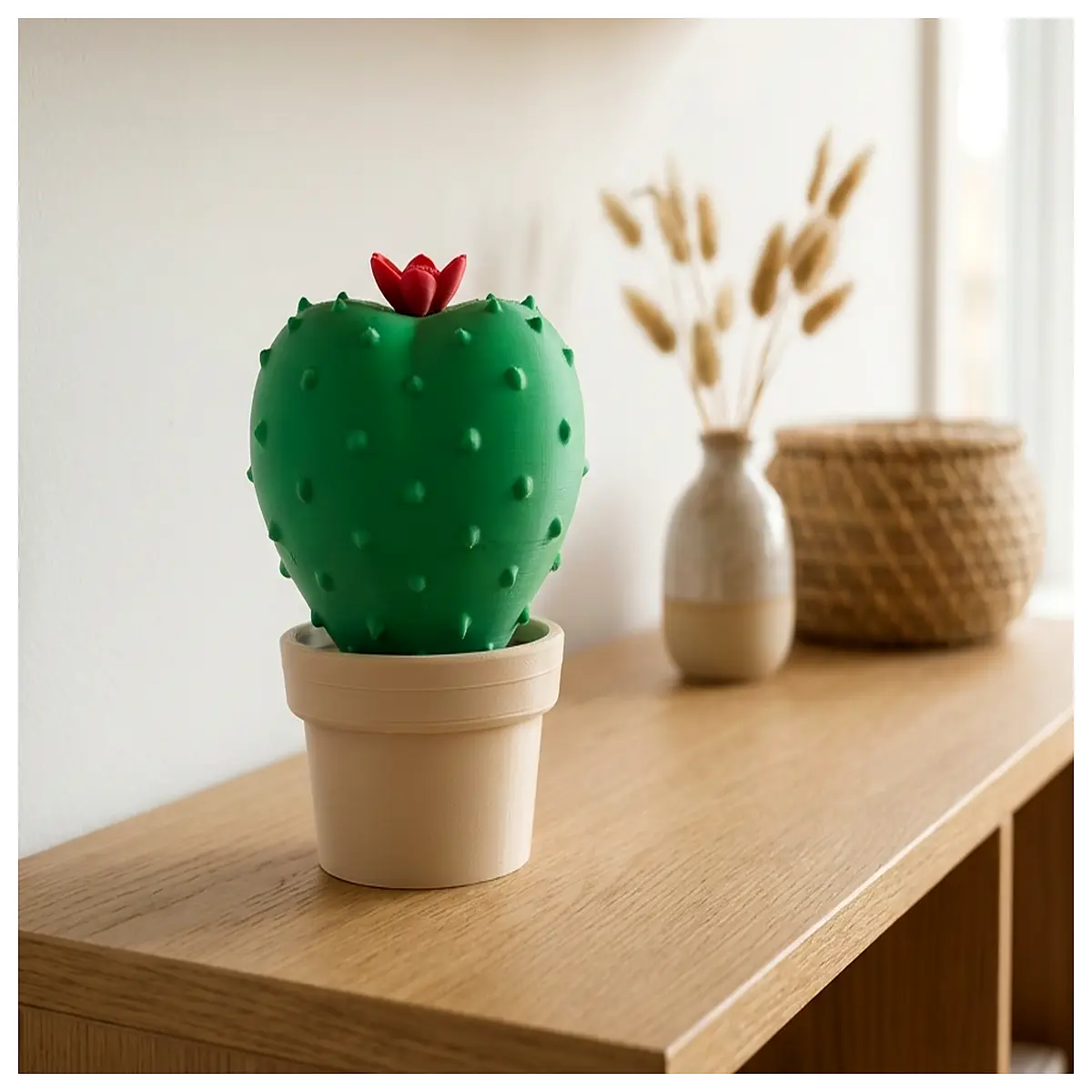 round cactus plant decorative shelf indoor home decor succulent holder plant pot rack wall mounted living room accent