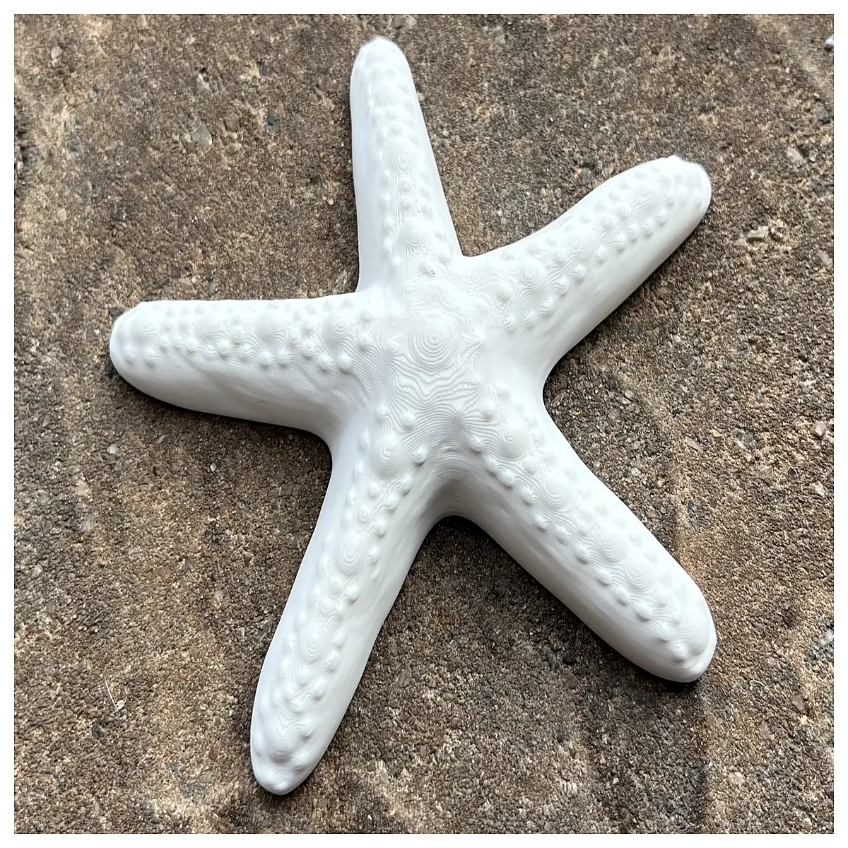 starfish home decor accents wall art prints beach theme nursery decor ocean vibe shelf ornaments seaside aesthetic room accessories
