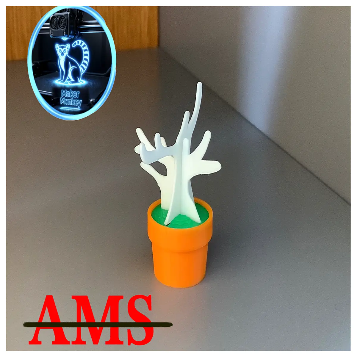 mini bonsai tree for beginners indoor desk decoration small potted plant low maintenance home office decor