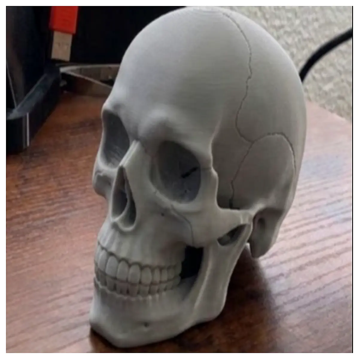realistic human skull prop for horror movie set decoration anatomical medical study haunted house party centerpiece gothic home decor accent